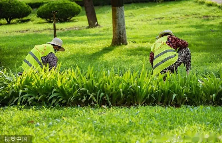花都园林景观设计工程