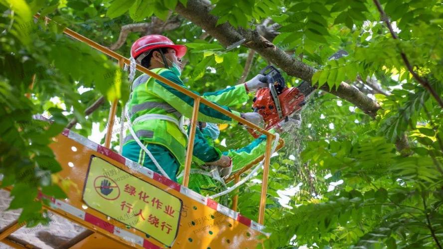 河源庭院园林绿化工程验收