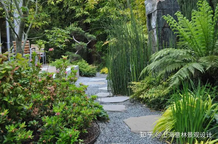 兴化绿化苗木市场分析